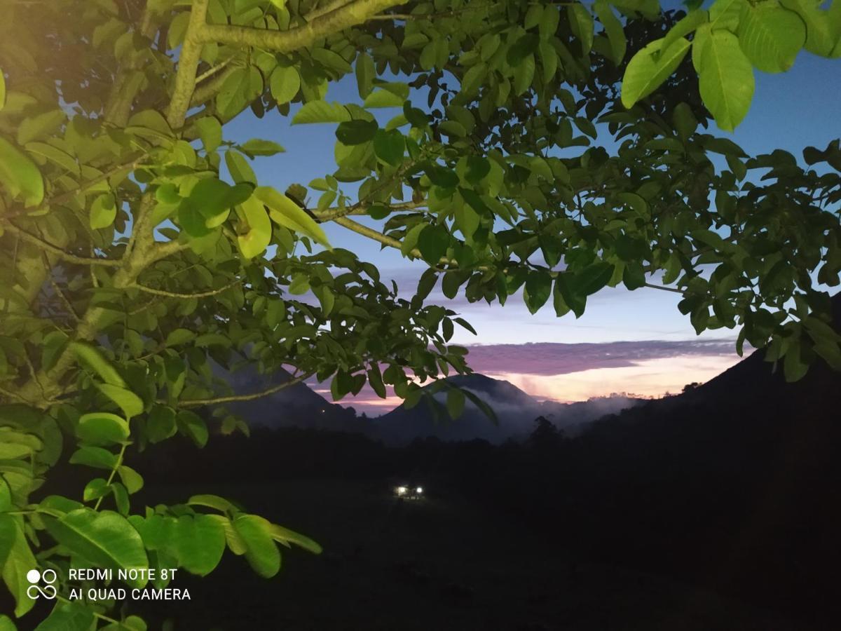 Cabana Del Jerreru Αλέα Εξωτερικό φωτογραφία