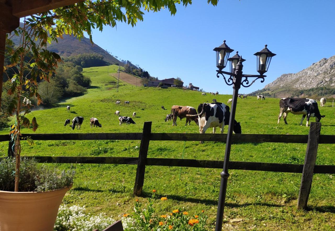 Cabana Del Jerreru Αλέα Εξωτερικό φωτογραφία